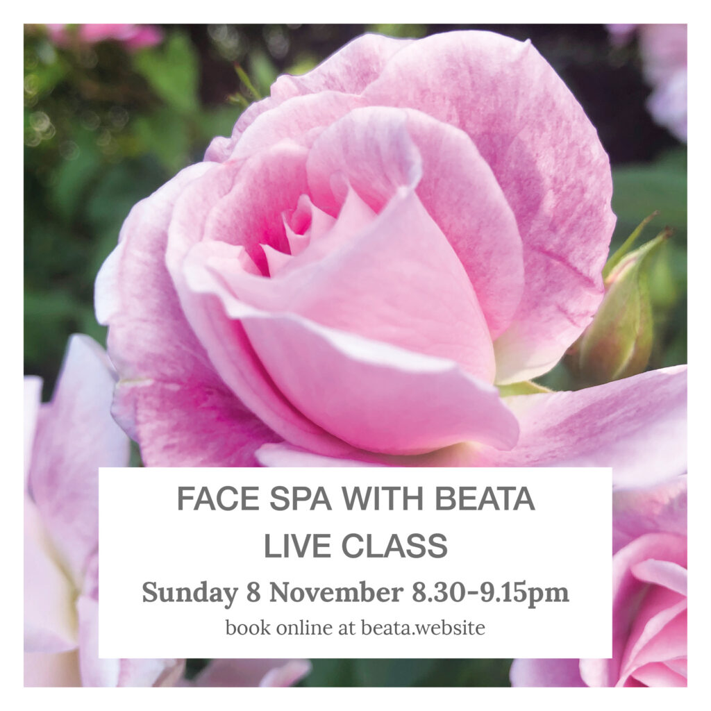 Face Spa